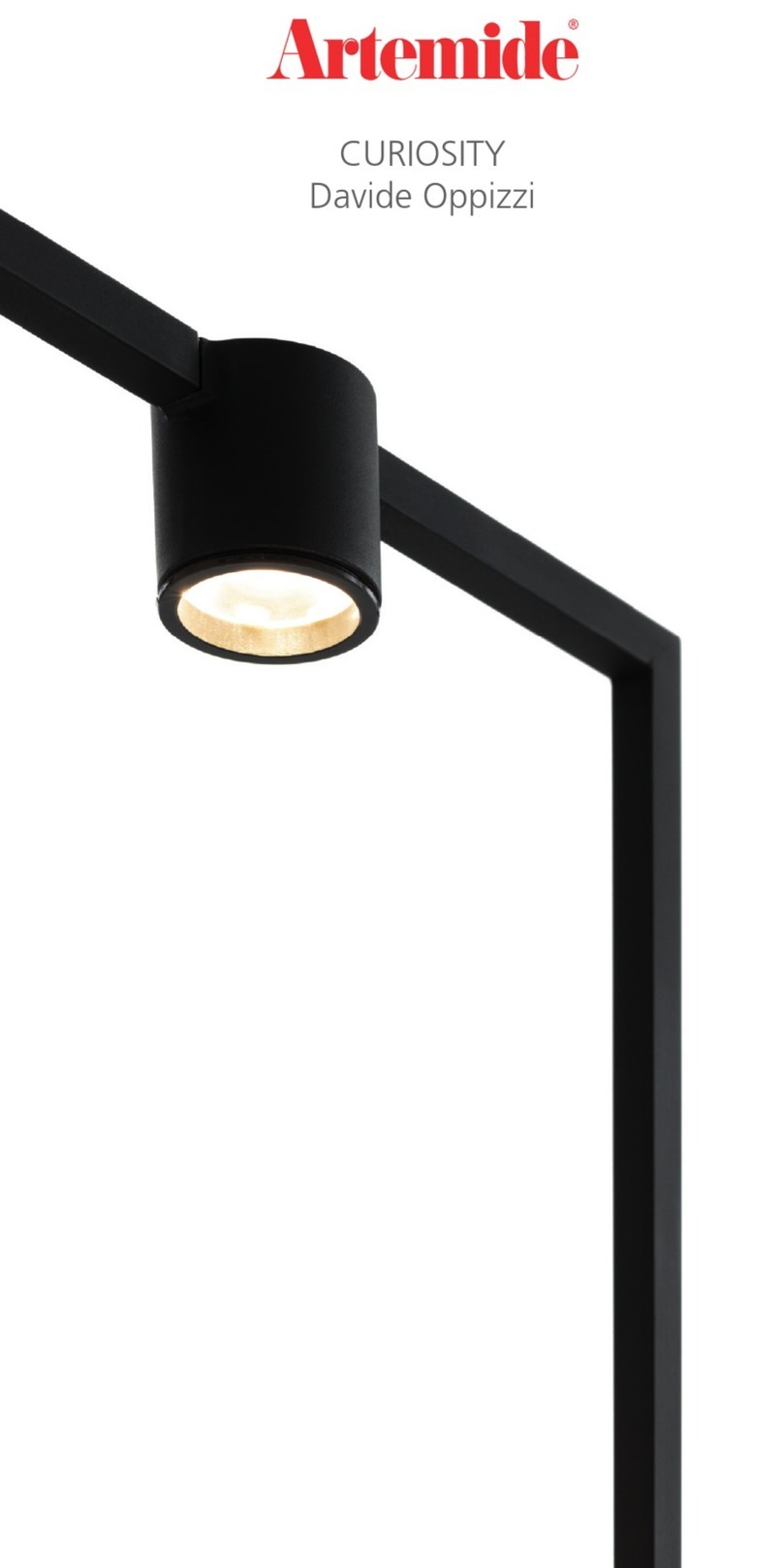 Artemide CURIOSITY User manual