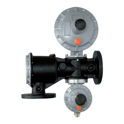 PIETRO FIORENTINI Dival SQD-1 User manual