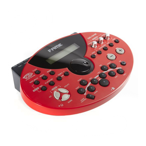 music store FAME DD-ONE PRO User manual