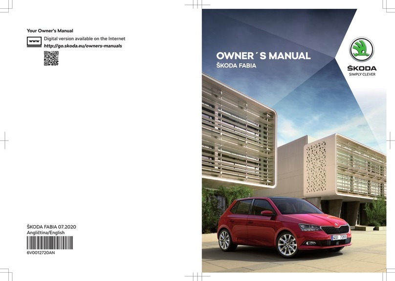 Skoda FABIA 2020 User manual
