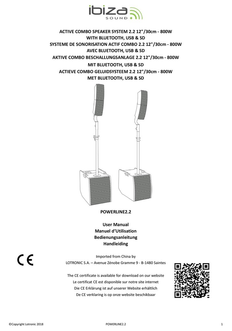 Ibiza sound POWERLINE 2.2 User manual