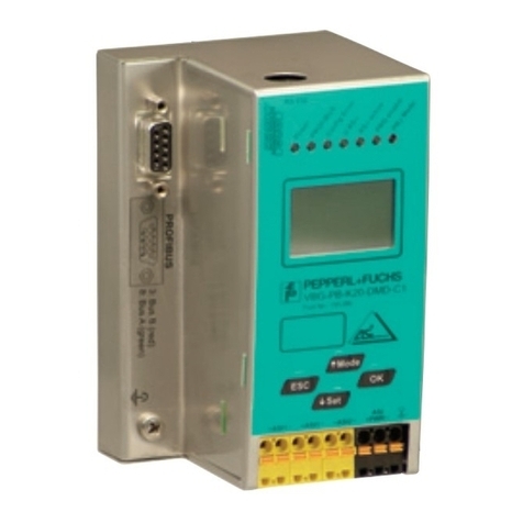 Pepperl+Fuchs VBG-PB-K20-DMD-C1 User manual