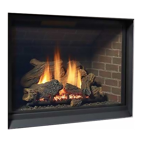 Regency Fireplace Products Bellavista B41XTCE Owners & installation manual