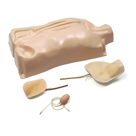 laerdal IV Torso Directions for use