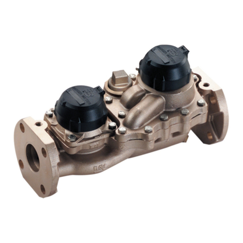Badger Meter Recordall Compound Series User manual