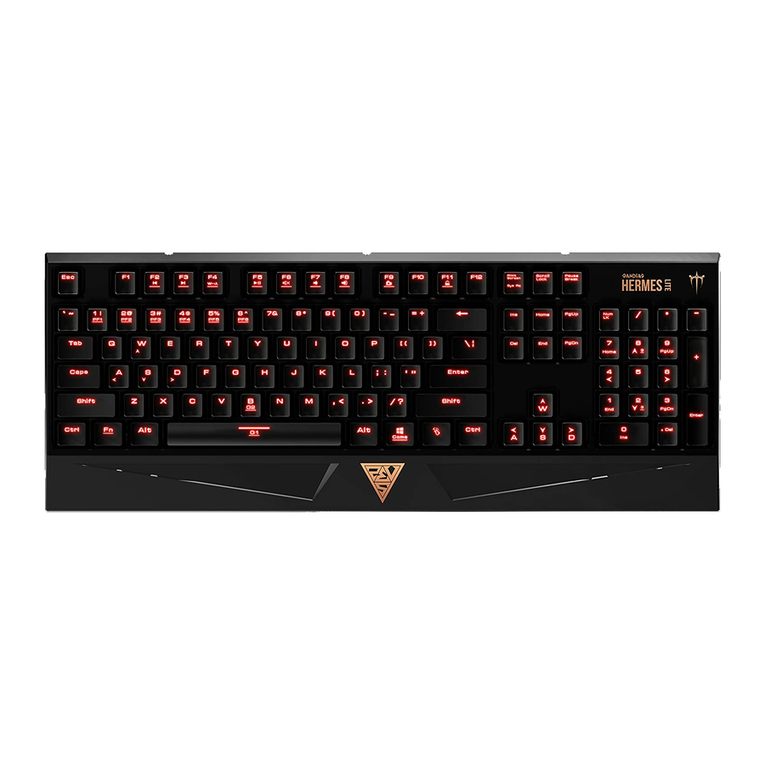 GAMDIAS HERMES LITE User manual