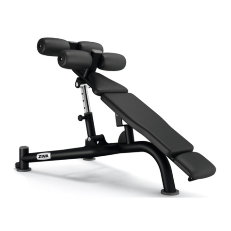 ziva ST2 manual