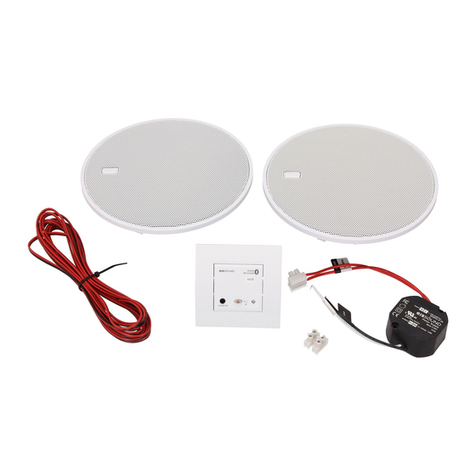 EisSound In-Wall Bluetooth Audio Receiver Installation and user manual
