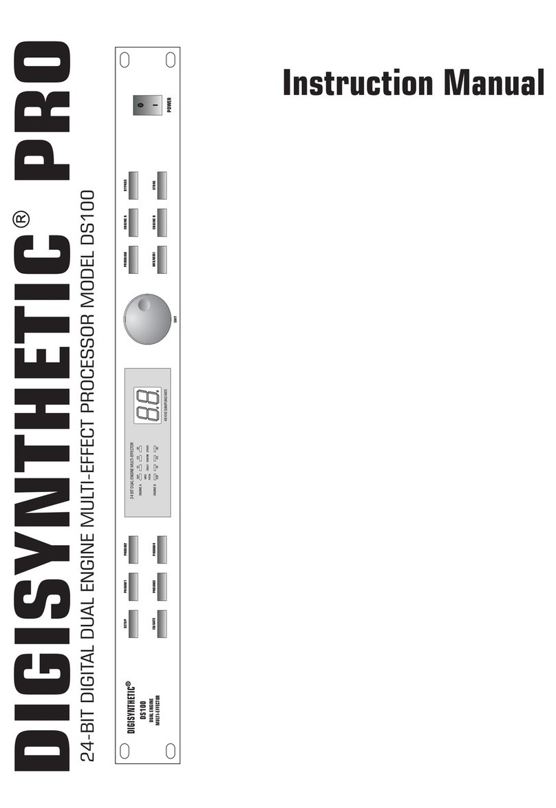 DIGISYNTHETIC DS100 instruction manual