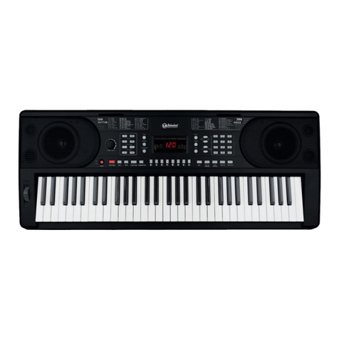 Schubert Etude 300 manual