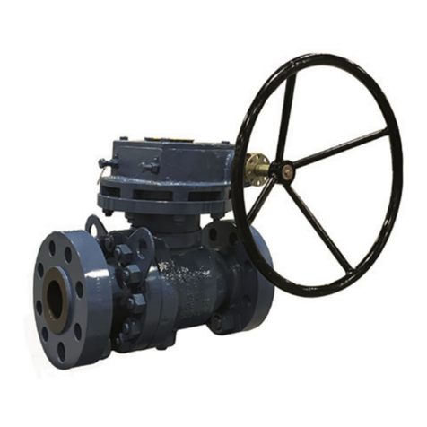 Emerson KTM VIRGO N Series Installation, operation and maintenance instructions