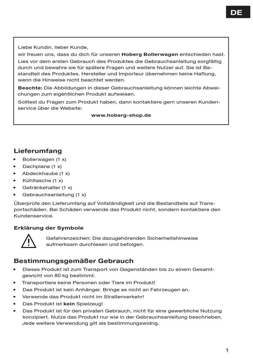 Hoberg RH6002PPG manual