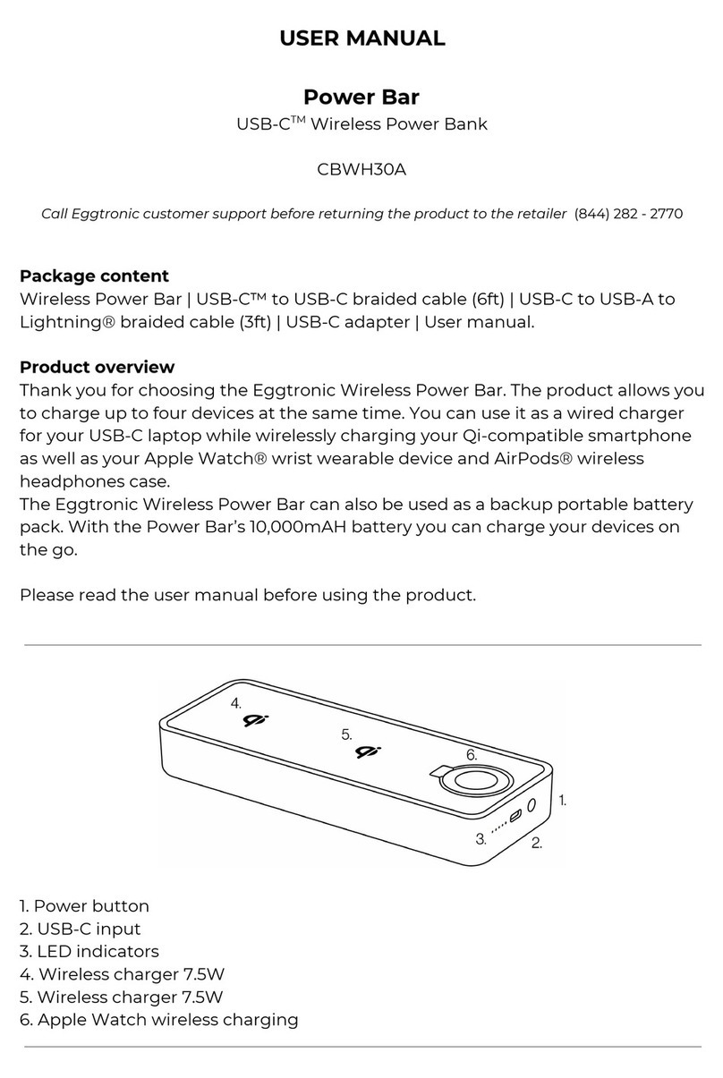 EggTronic Power Bar user manual