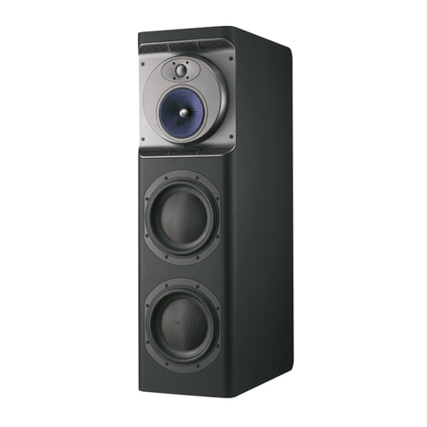 Bowers & Wilkins CT 800 User manual