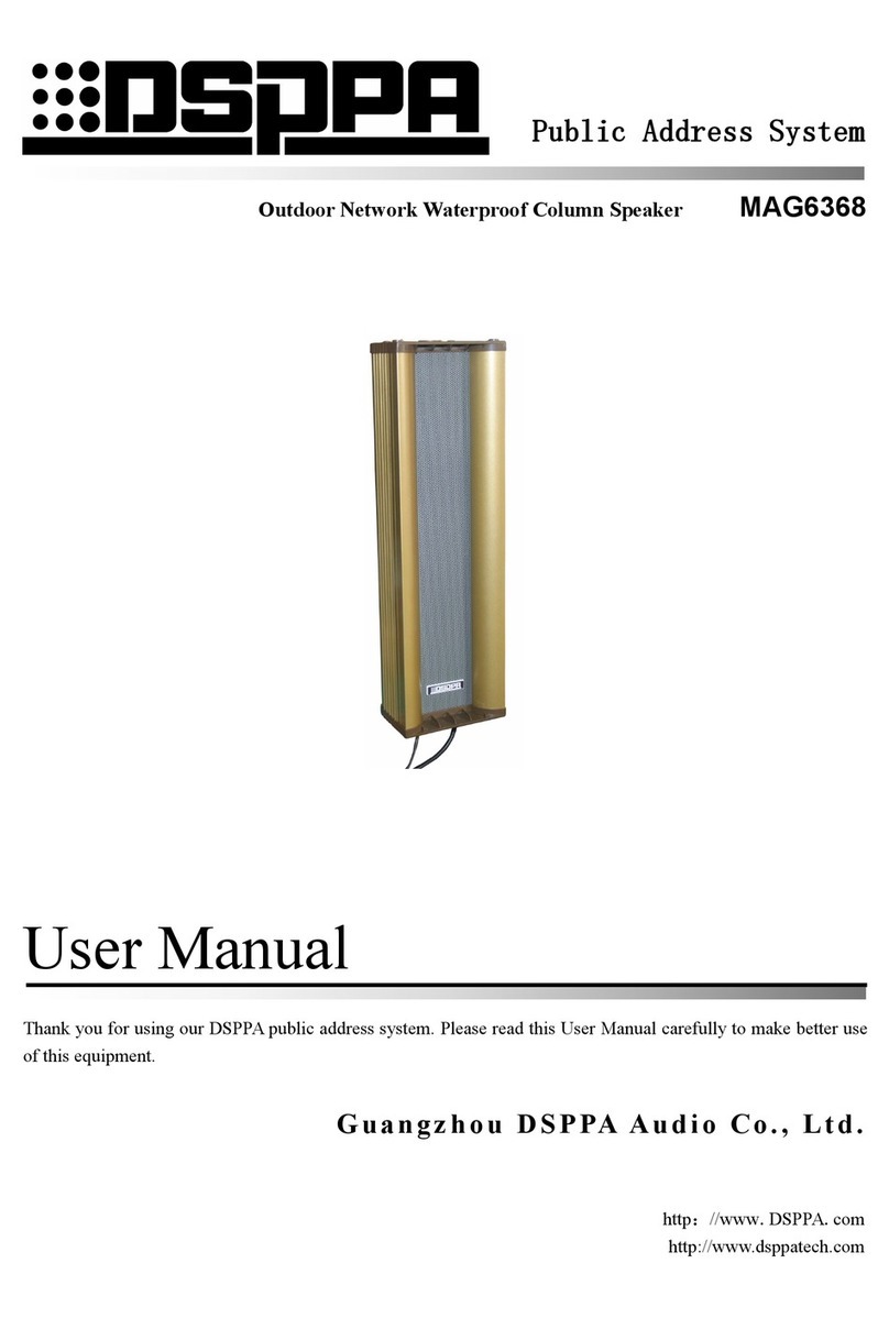 DSPPA MAG6368 user manual