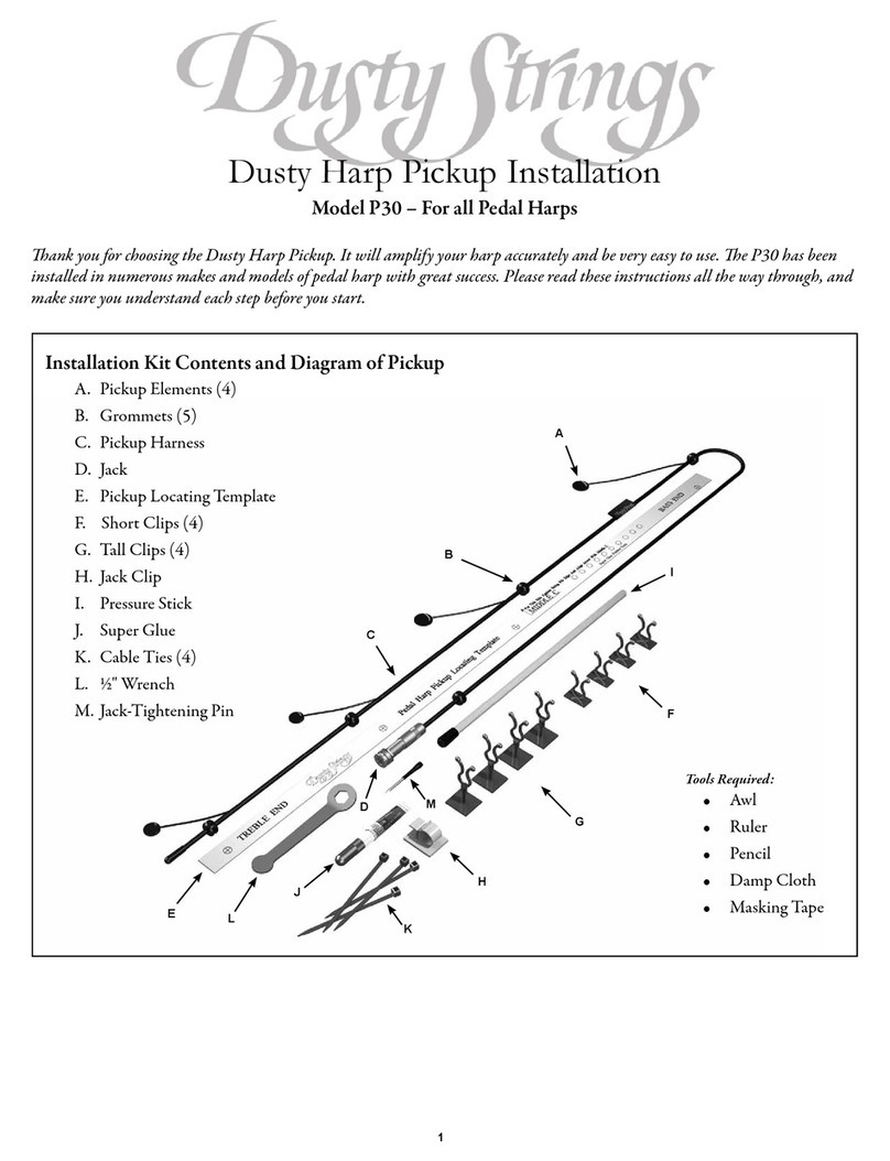 Dusty Strings P30 User manual