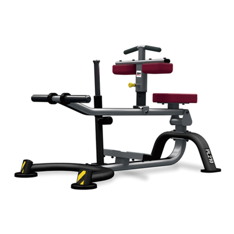 BH Hipower PL210 Instructions for assembly and use