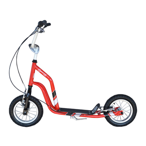 Master RIDE User manual