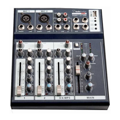 Audiodesign PAMX1.21 USB User manual