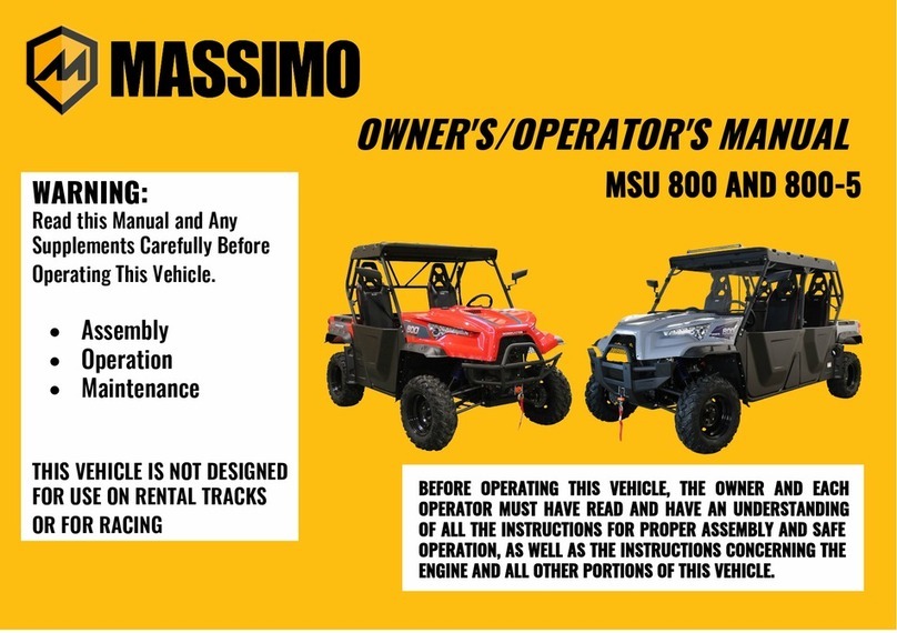 Massimo MSU 800 Owner's manual