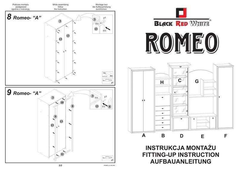 BLACK RED WHITE Romeo Fitting-Up Instruction