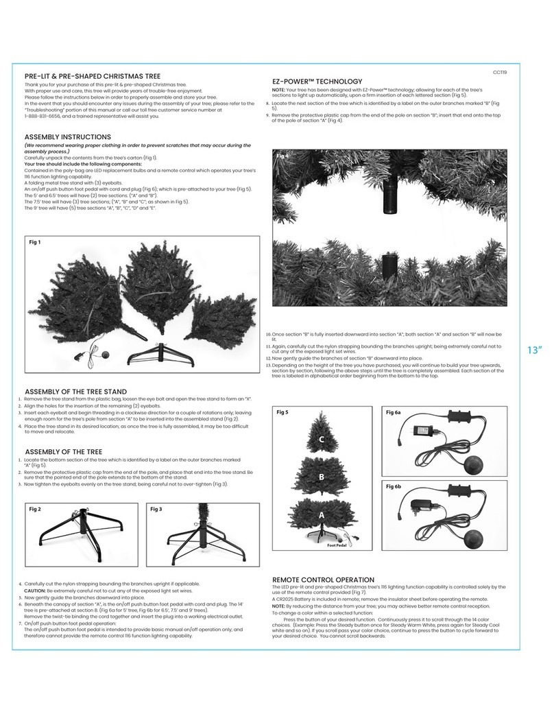 Santa's best CCT19 User manual