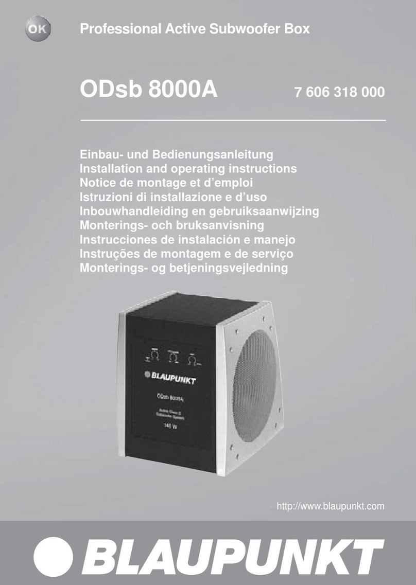 Blaupunkt ODsb 8000A User manual