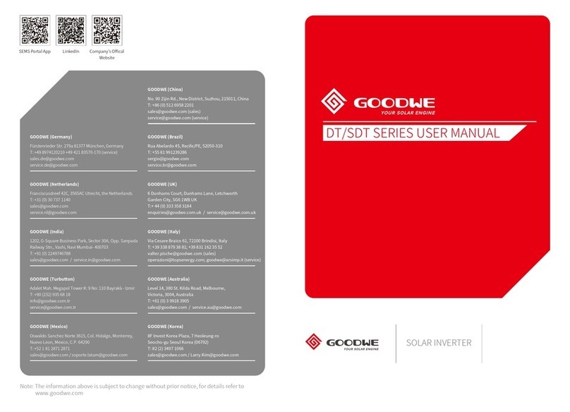 Goodwe DT Series User manual