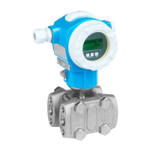 Endress+Hauser Deltabar S Technical specifications