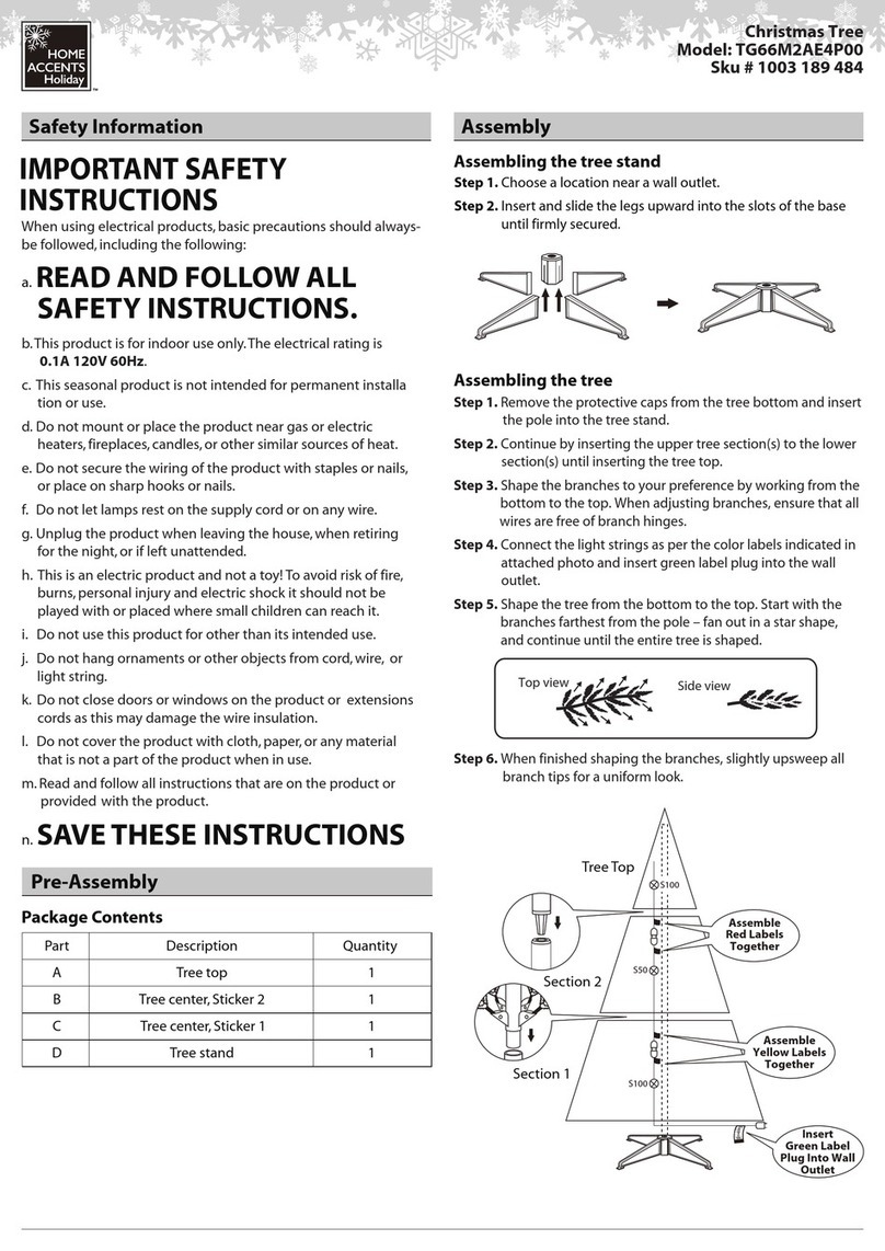 Home Accents Holiday TG66M2AE4P00 quick start guide