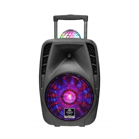 iDance Bigben Groove 216 user manual