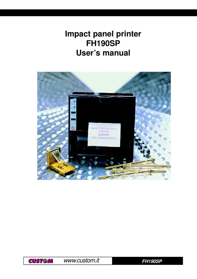 Custom Audio Electronics FH190SP User manual