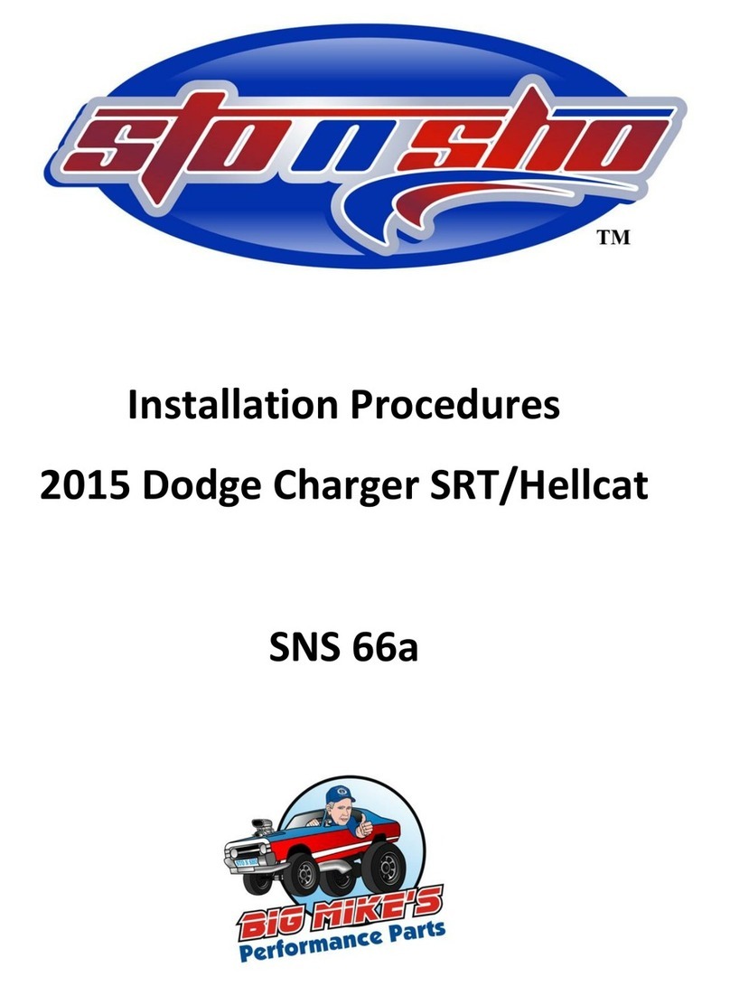 BIG MIKE SNS 66a Installation procedures