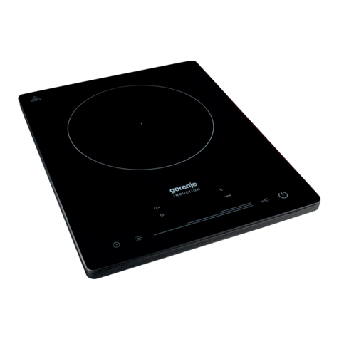 Gorenje ICE2000SP User manual