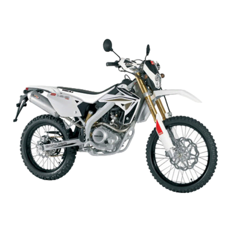 RIEJU Marathon 125 PRO manual