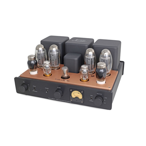 icon Audio Stereo 60 MK III M User manual