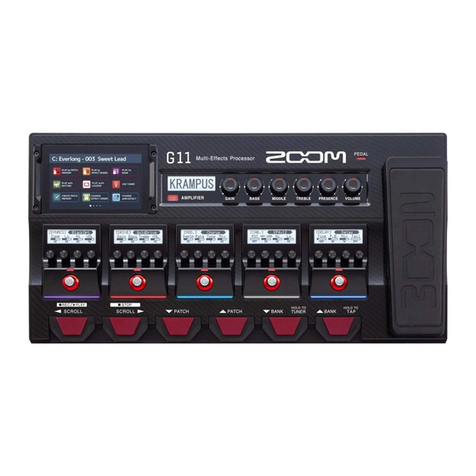 Zoom G11 User manual
