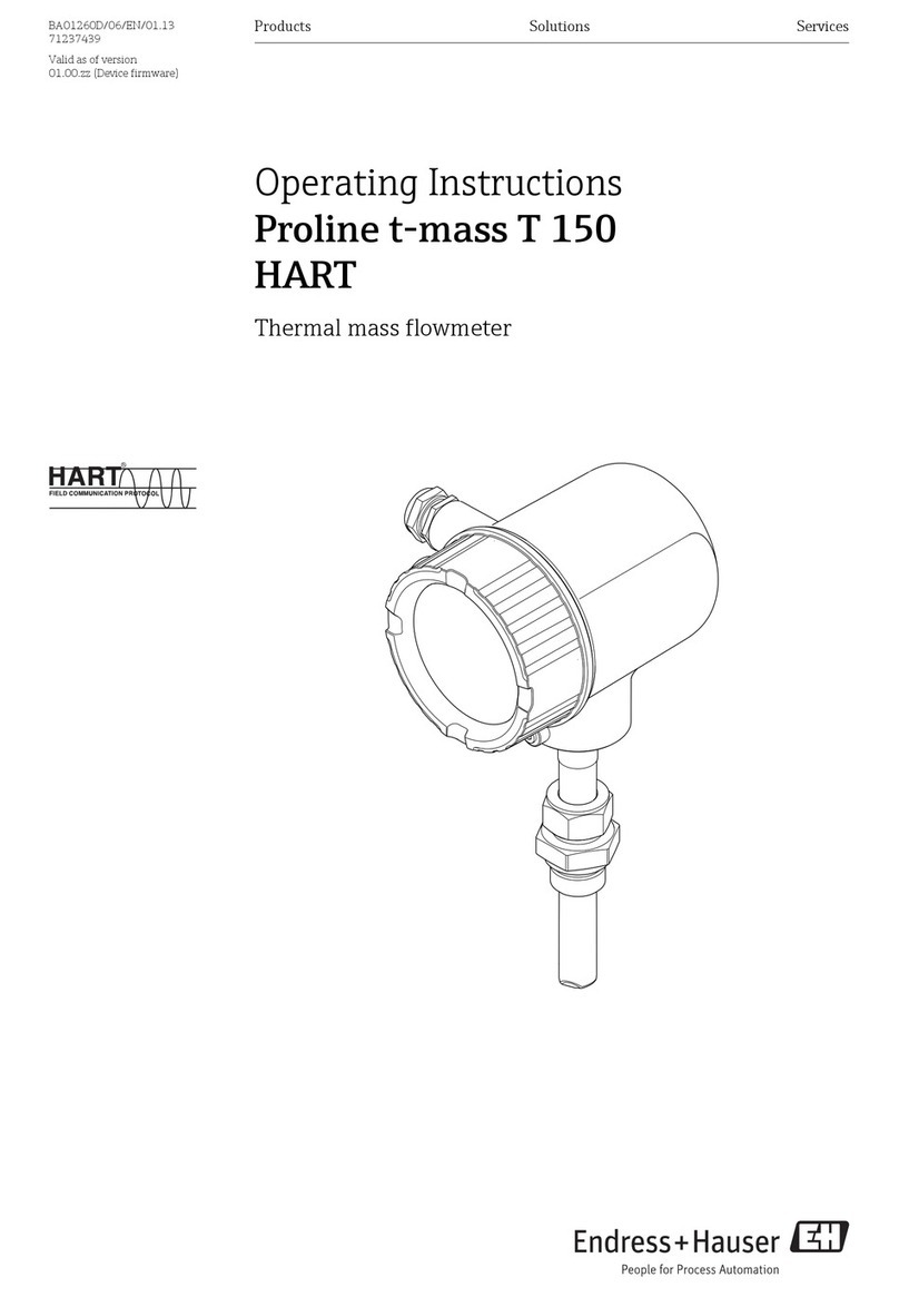 Endress+Hauser Proline t-mass T 150 operating instructions