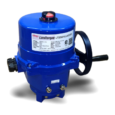 Flowserve LTQ008 Series User manual Flowserve LTQ008 Series User manual