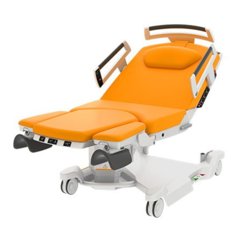 BORCAD Medical AVE 2 Service manual