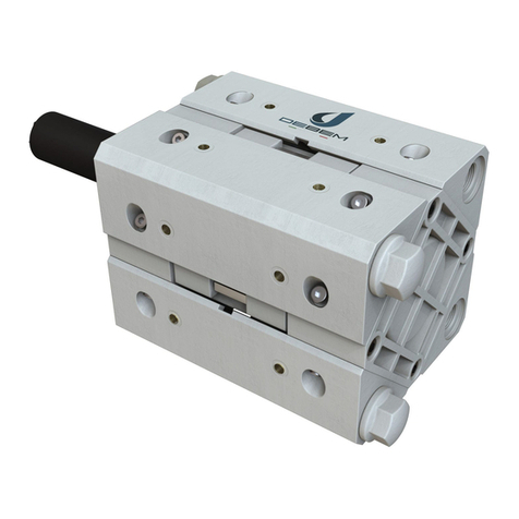 Debem CUBIC 15 PP Instructions for use and maintenance