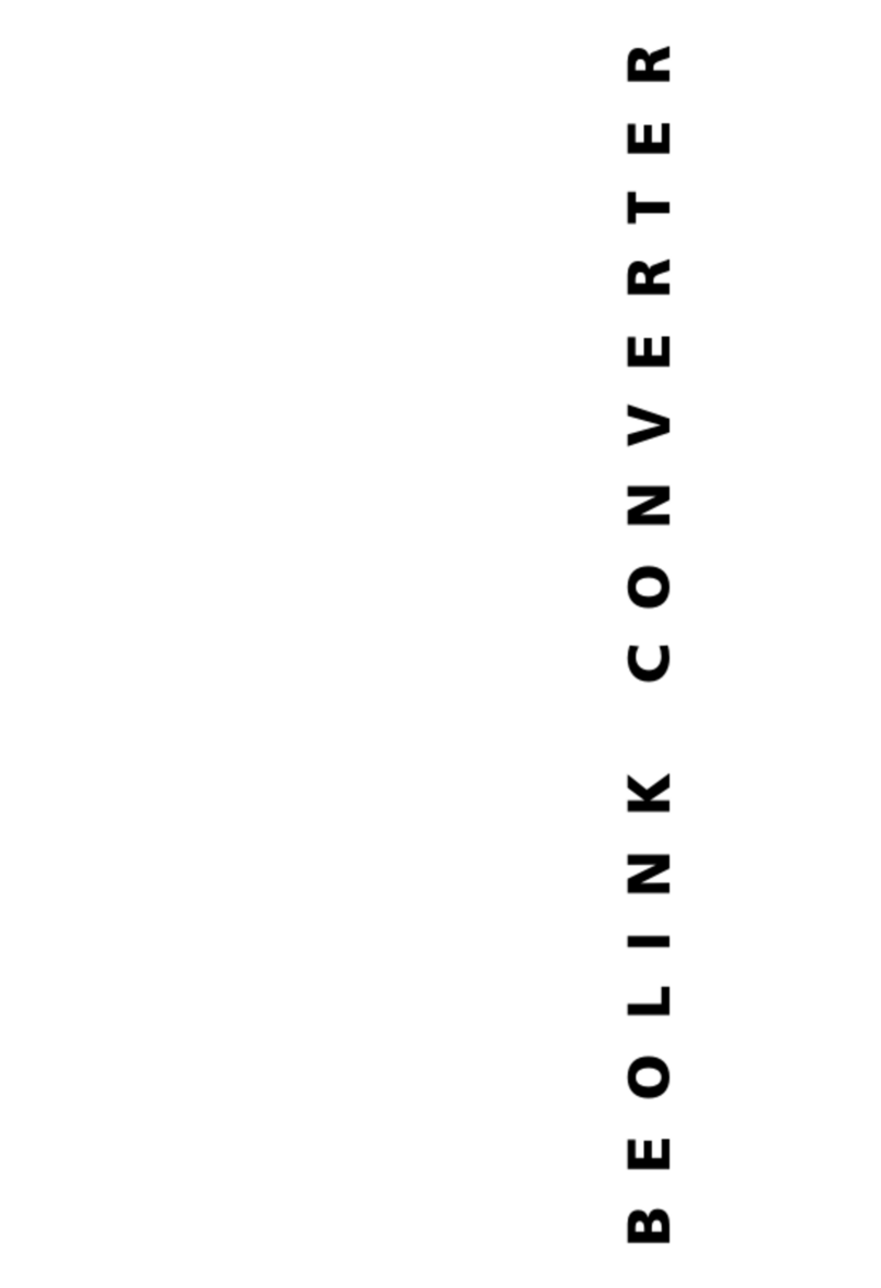 BeoWorld BEOLINK CONVERTER manual