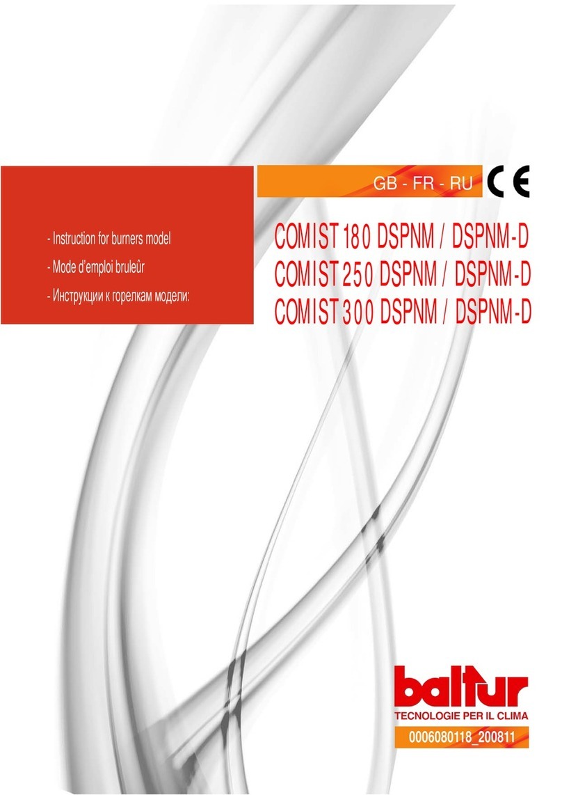 baltur COMIST 180 DSPNM User manual