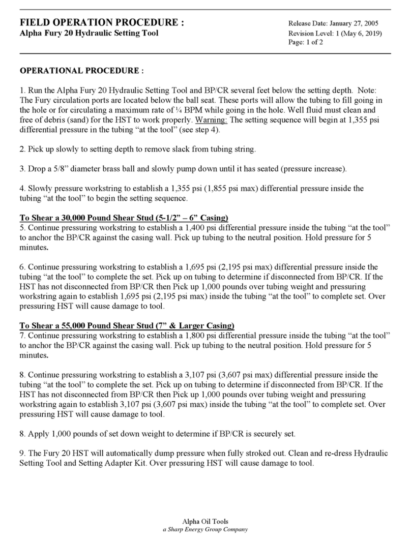 Sharp Energy Alpha Fury 20 Manual
