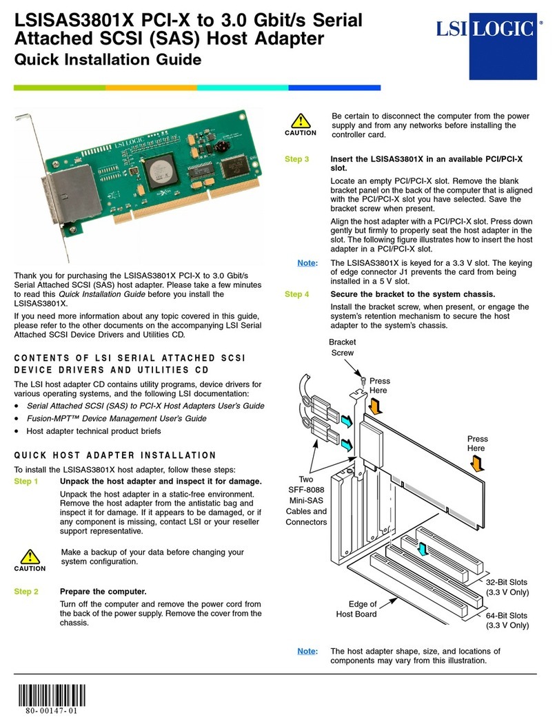 LSI LSISAS3801X User manual