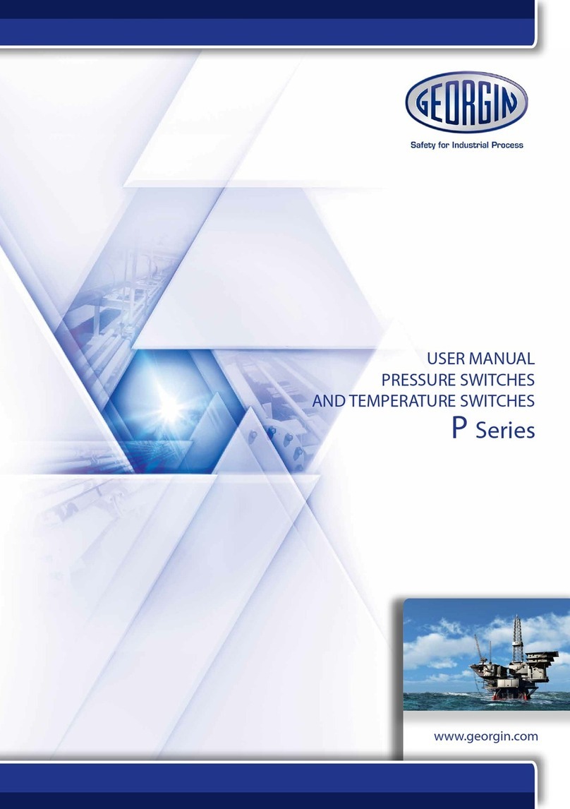 GEORGIN P Series user manual