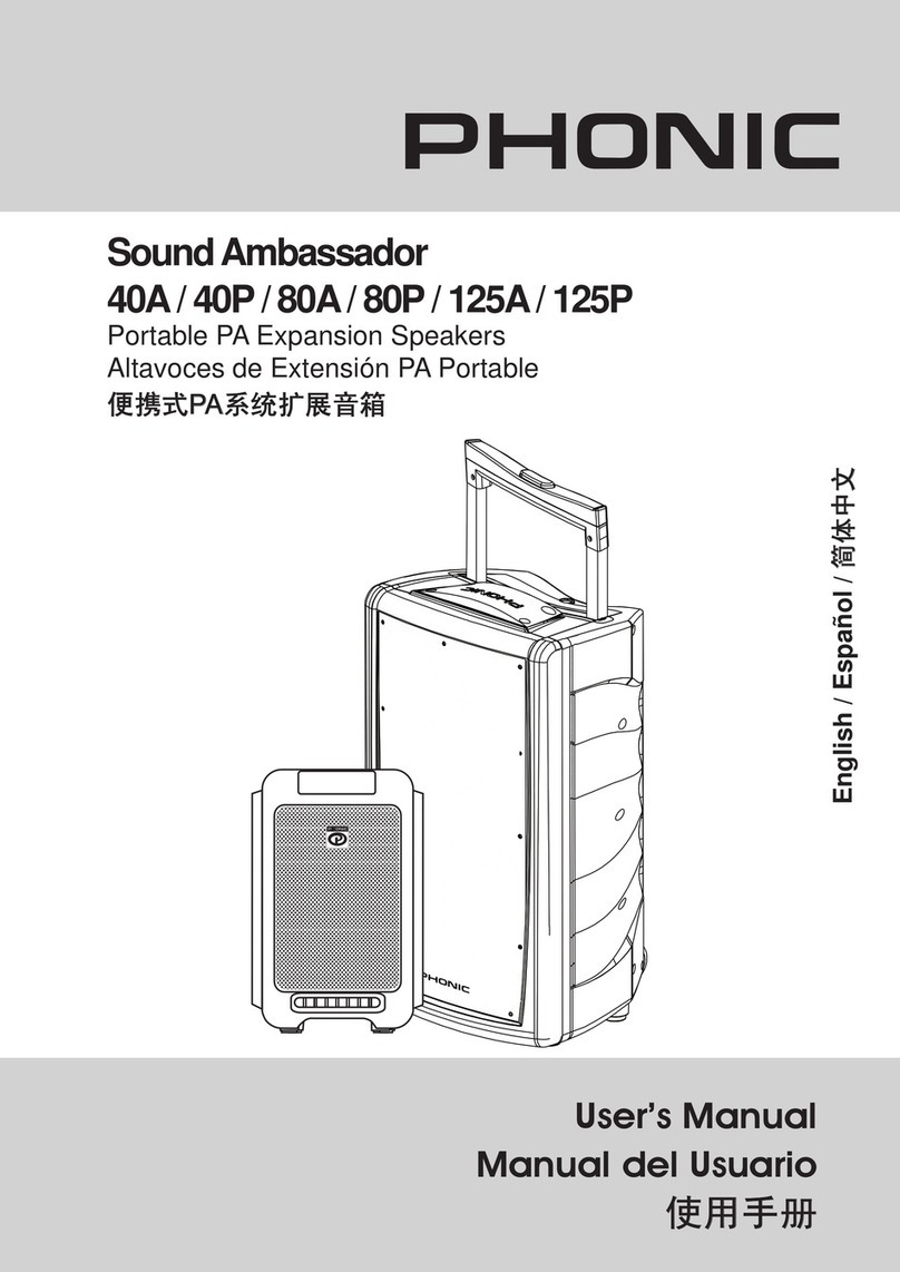Phonic Sound Ambassador 40A user manual