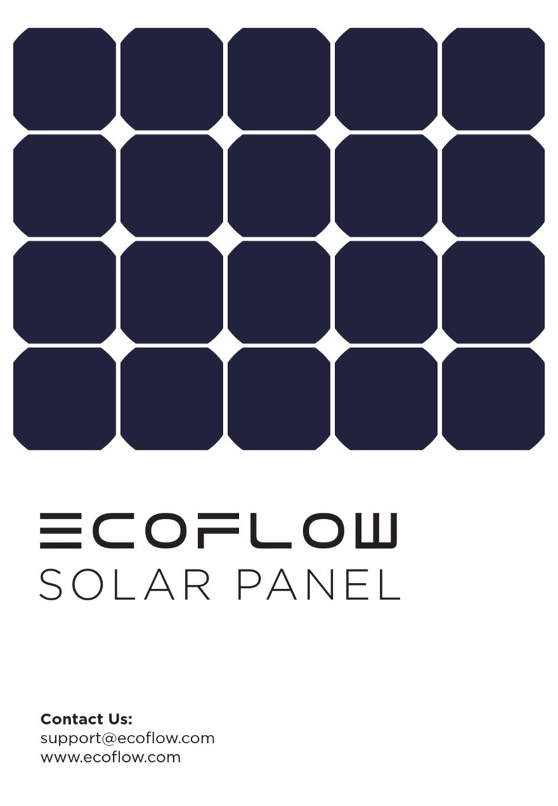 EcoFlow 60W User manual