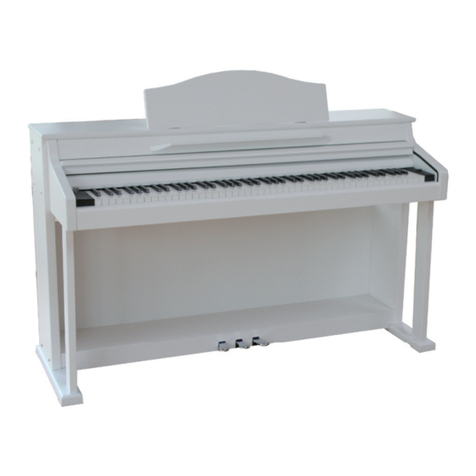 bluthner e-KLAVIER 1 Assembly instructions
