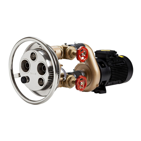 Pahlen Jet Swim 2000 Installation instruction